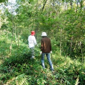 ヤマガラの森、作業に行ってきました！