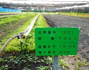 PT北海道「北大雨龍研究林」視察報告②！
