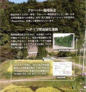 あゆご愛用の製品が、プレゼントツリーとつながっている！