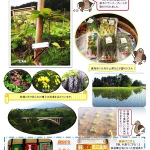 「大崎 森守通信」2016年春版