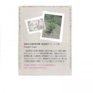 ecomom	Present Tree