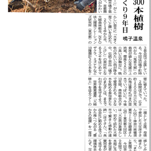 ”大崎タイムス”に「Present Tree in みやぎ大崎」植樹イベントの様子が掲載されました。