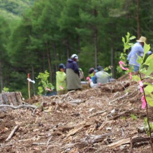 いま、企業の間でじわじわ浸透中！サステナブルなお祝いのカタチ「祝花の代わりに植樹」って？