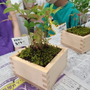 【第3回文京ecoカレッジ親子環境教室】にて、里山BONSAIワークショップの講師を務めました
