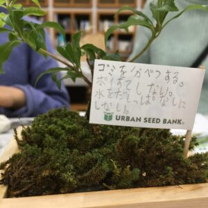 港区エコプラザで里山BONSAIワークショップを開催しました！